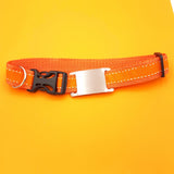 Noiseless Engraved Pet ID Tag