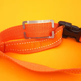 Noiseless Engraved Pet ID Tag