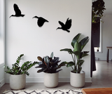 Steel black Hadedas in flight - wall art