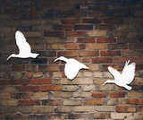 Steel white Hadedas in flight - wall art